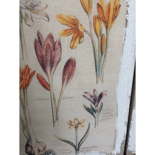 Ecru Botanical Canvas Wall Art- Set of 4 For Sale - Image 8 of 12