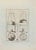 Still Life from "Antiquities of Herculaneum" is an etching on paper realized by Nicola Fiorillo in the 18th Century....