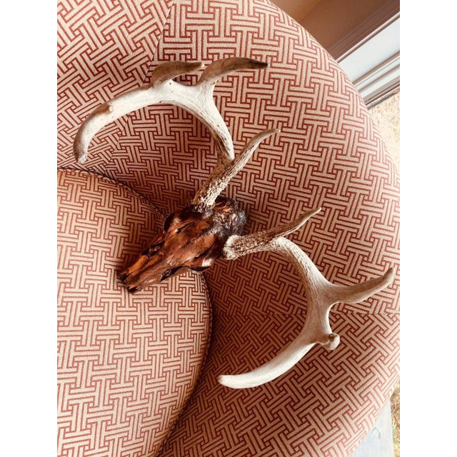 Metal Authentic Large Decorative Copper Coated Deer Skull Rustic Cabin Decor Art For Sale - Image 7 of 11