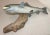 Vintage Handmade Eg Carved Wood Silver Wall Fish Mount Trophy Sculpture For Sale - Image 11 of 16