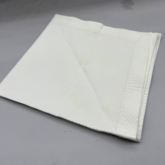 Vintage Tesoro Oversized Off White Waffle Stitch Matelasse Napkins- Set of 4 For Sale - Image 14 of 15