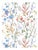 The House of Scalamandré Potpourri Wallpaper, Garden Multi For Sale