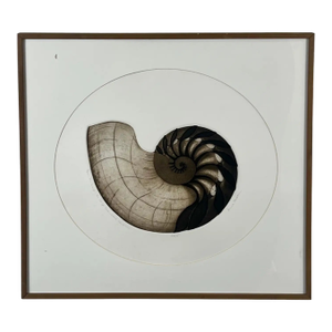 Anna Loudon Nautilus Shell Untitled Limited Edition Print by Anna Loudon, Framed & Numbered