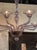Modern Modern Lavender Colored Blown Murano Glass Chandelier With 10 Arms For Sale - Image 3 of 8