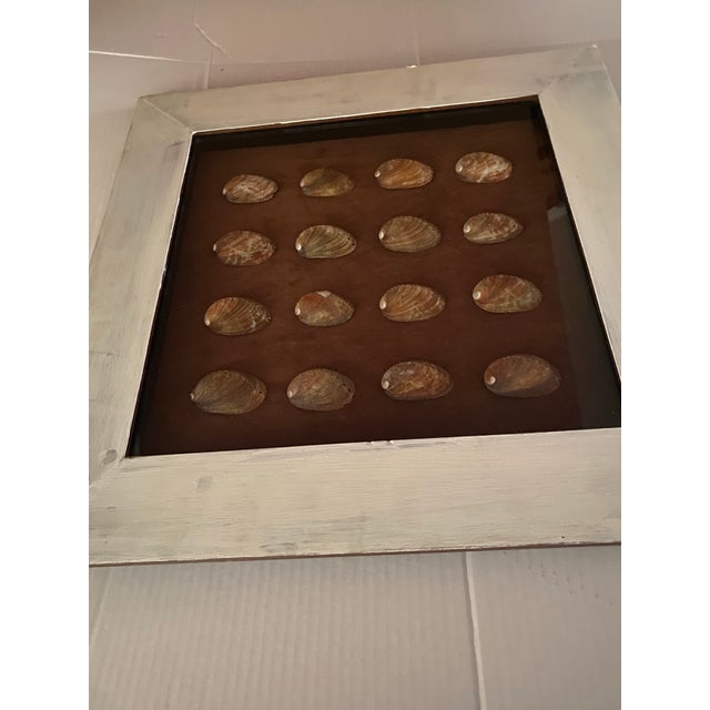 Vintage Coastal Shadow Box Featuring Multiple Abalone Shells. For Sale - Image 12 of 12