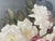1950s Still Life with Roses and Fruits, 1950s, Oil Painting on Canvas, Framed For Sale - Image 5 of 18