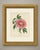 This is an original antique botanical print, a chromolithograph printed in color, numbered plate i and lettered "paeonia...