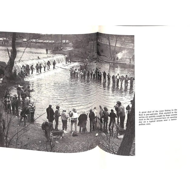 "Spin-Fishing: The System That Does It All" 1973 Strung, Norman and Rosko, Milt For Sale - Image 12 of 12