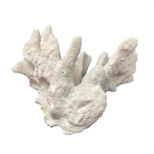 Contemporary Large Natural White Coral Reef Specimen #4 For Sale - Image 3 of 9