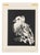 Pablo Picasso, La Petite Colombe (The Little Dove), 1949, Lithograph For Sale