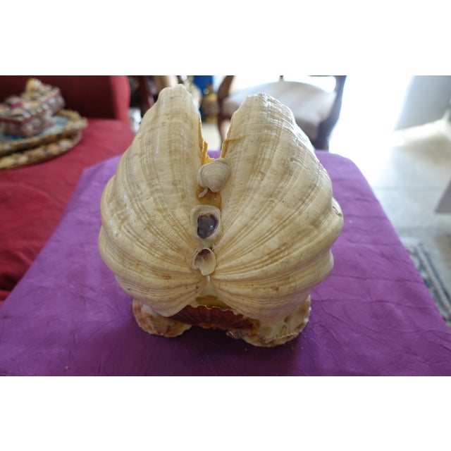 Large Vintage Kitsch Seaside Souvenir For Sale - Image 4 of 5