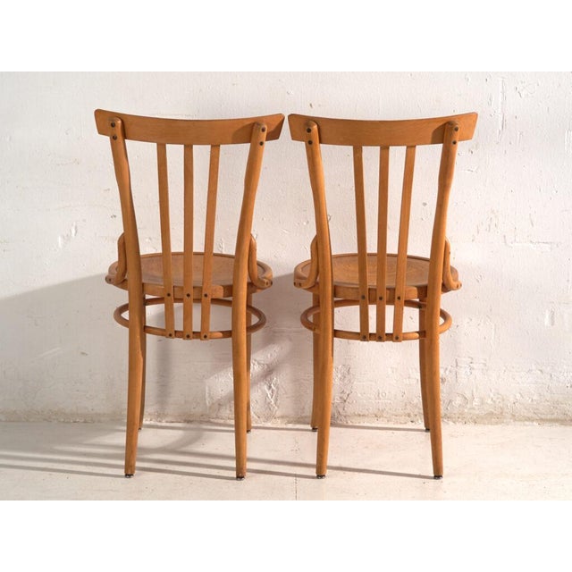 Brown Bentwood Chairs in the style of Thonet, Central Europe, 1930, Set of 4 For Sale - Image 8 of 15