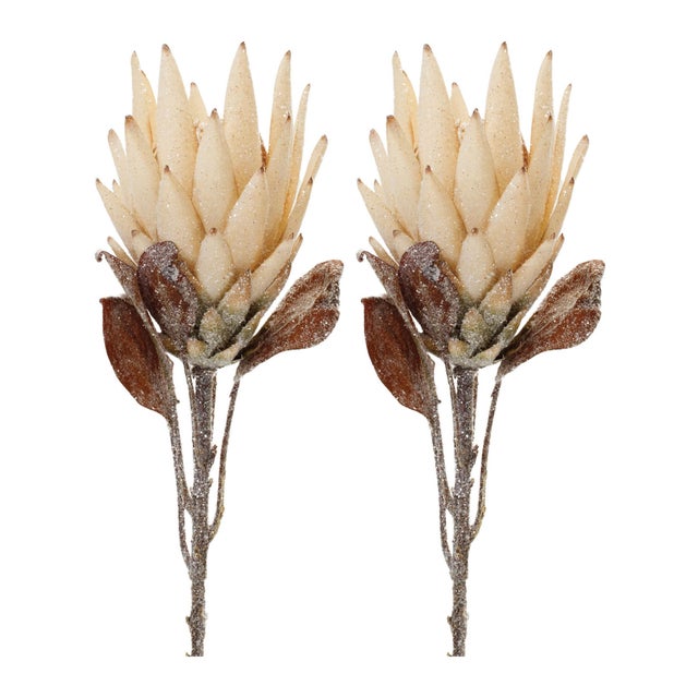 Contemporary Beige Protea Flower Stem (Set of 2) For Sale - Image 3 of 3