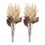Contemporary Beige Protea Flower Stem (Set of 2) For Sale - Image 3 of 3