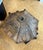 Antique Carved Wooden Architectural Element For Sale - Image 10 of 11