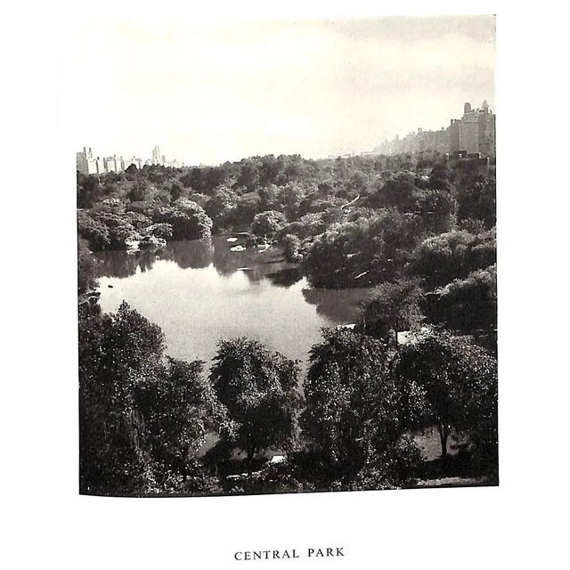 "Portrait of New York" 1948 Beaton, Cecil For Sale - Image 10 of 18