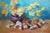 Oil Painting Mushroom Time Serdyuk Boris Petrovich For Sale