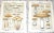 Printmaking Materials Authentic Antique American Mushroom Color Lithographs - Set of 12 For Sale - Image 7 of 10