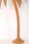 Palm Tree Floor Lamp in Rattan For Sale - Image 3 of 18