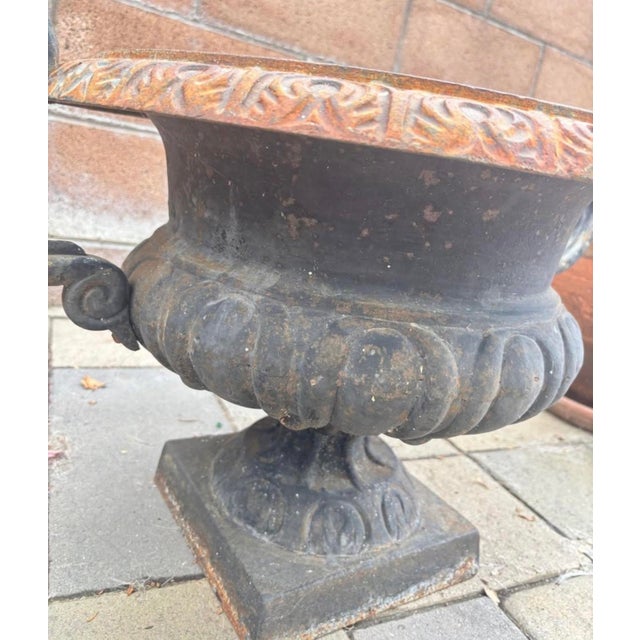 Metal Vintage Ornate Cast Iron Garden Urn Planter With Scroll Handles & Aged Patina For Sale - Image 7 of 12