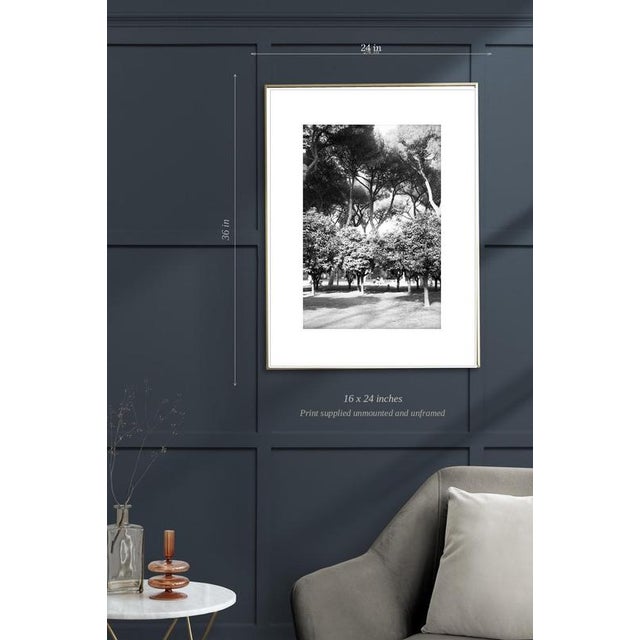 Contemporary Paul Cooklin, Rome Italy 00107, Edition of 50 For Sale - Image 3 of 5