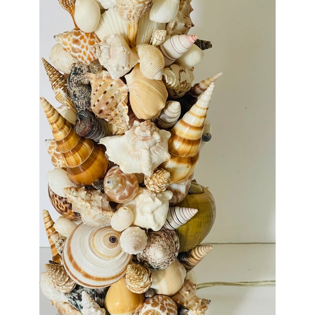Coastal 1970s Natures Beauty Sea Shells Encrusted Pair Table Lamps - a Pair For Sale - Image 3 of 5