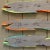 Contemporary Contemporary Original 3 Tropical Hand Painted Wooden Fish Signed- Set of 3 For Sale - Image 3 of 4