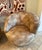 Pair Nautilus Swivel Club Chairs attributed to Directional For Sale - Image 9 of 16