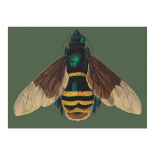 Bugs by Seguy #10 For Sale