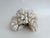 Late 20th Century Large Natural Cluster Coral Specimen Coastal Decor For Sale - Image 5 of 6
