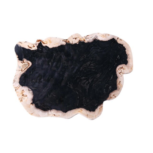 Contemporary Hand Cut & Polished Petrified Wood Board For Sale - Image 3 of 7