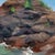 Early 21st Century Presque Isle (Day 83) June 7, 2022 by Primary Hughes | Oil on masonite Seascape with rocky shore For Sale - Image 5 of 5