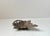 Scandinavian Naturalistic Wine Leaf Tray in Patinated Brass, 1940s For Sale - Image 4 of 9