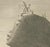 Cooke, The Great Sphinx of Giza in Egypt, 1801, Print For Sale - Image 5 of 6