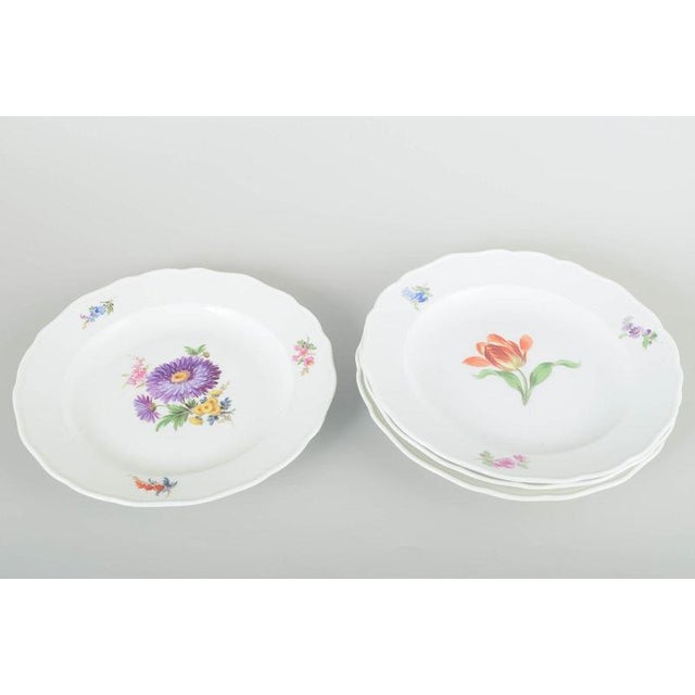 Four porcelain plates, hand-painted with multicoloured floral decorations. Classic scalloped rim with relief and delicate...
