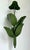 Early 21st Century Vintage Green Banana Leaf Six Arm Chandelier For Sale - Image 5 of 12
