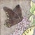 Fred Edwards “Butterfly Bush” Hand-Colored Etching and Aquatint, 13/25 For Sale - Image 4 of 14
