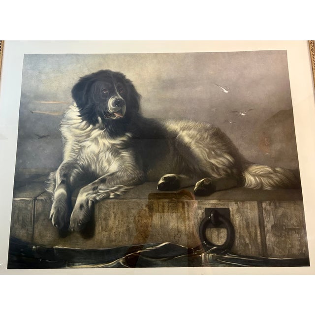 Large vintage reproduction after Sir Edwin Landseer's celebrated 1838 painting "A Distinguished Member of the Humane...