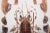 Deconstructed Lobster (Homarus Gammarus) Specimen Under Glass Dome. The European lobster, scientifically referred to as...