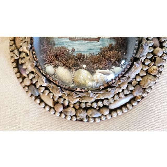 Edwardian Shellwork Valentine Diorama of a Clipper Ship | Chairish