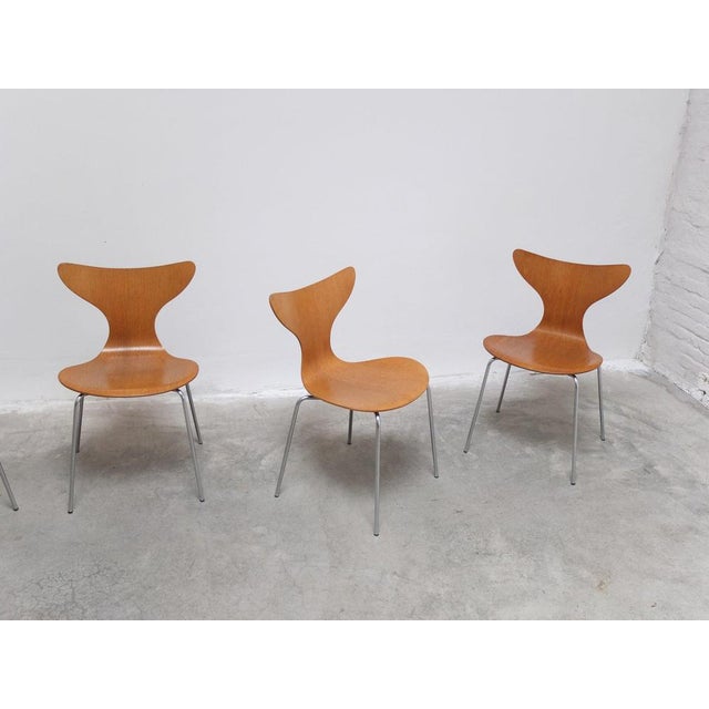 1st Edition Lily Chairs in Oak by Arne Jacobsen for Fritz Hansen, 1969 For Sale - Image 16 of 18