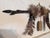 Textile Vintage South Dakota Indian Arrow Bundle For Sale - Image 7 of 8