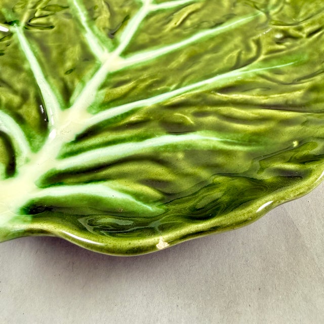 Portuguese Belo Olive Green Cabbage Leaf Plates, S/8 – 1930-1950 For Sale - Image 12 of 12
