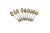 Coffee Spoons in Gilded Silver and Embossed Scrolls, Set of 9 For Sale - Image 6 of 6