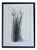 Jake Wood-Evans, Butterfly Drawing, 2010, Pencil on Paper For Sale