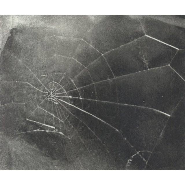 Artist: Vija Celmins Title: Spider Web Year: 2009 Signed: Yes Medium: Serigraph Paper Size: 17.5 x 19 inches ( 44 x 48 cm...