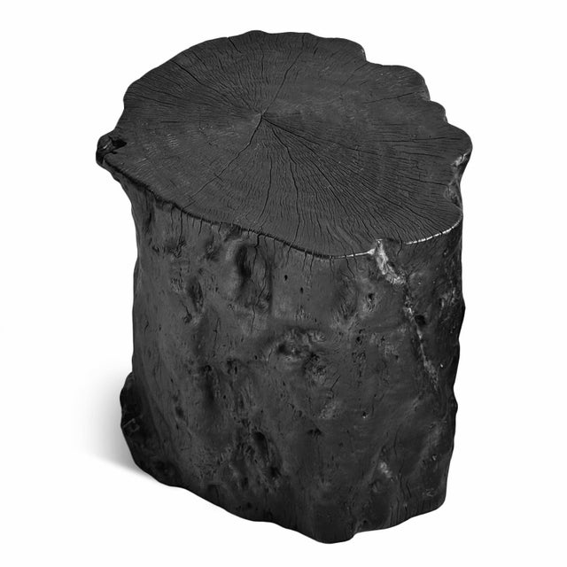 Black Natural Form Stump Organic Modern Side Table / Stool For Sale - Image 4 of 4
