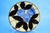 Vintage Ceramic Plates by La Spiga Roma, 1930s, Set of 2 For Sale - Image 14 of 18