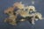 CORRECTION TO SHIPPING TIME, THIS IS SELLER SHIPPING, ARRIVAL TIME IS 4-10 DAYS FROM PURCHASE DATE. French Rococo handles...