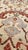 Antique Persian Sultanabad Carpet Ivory, Red, Light Blue, and Green For Sale - Image 15 of 18